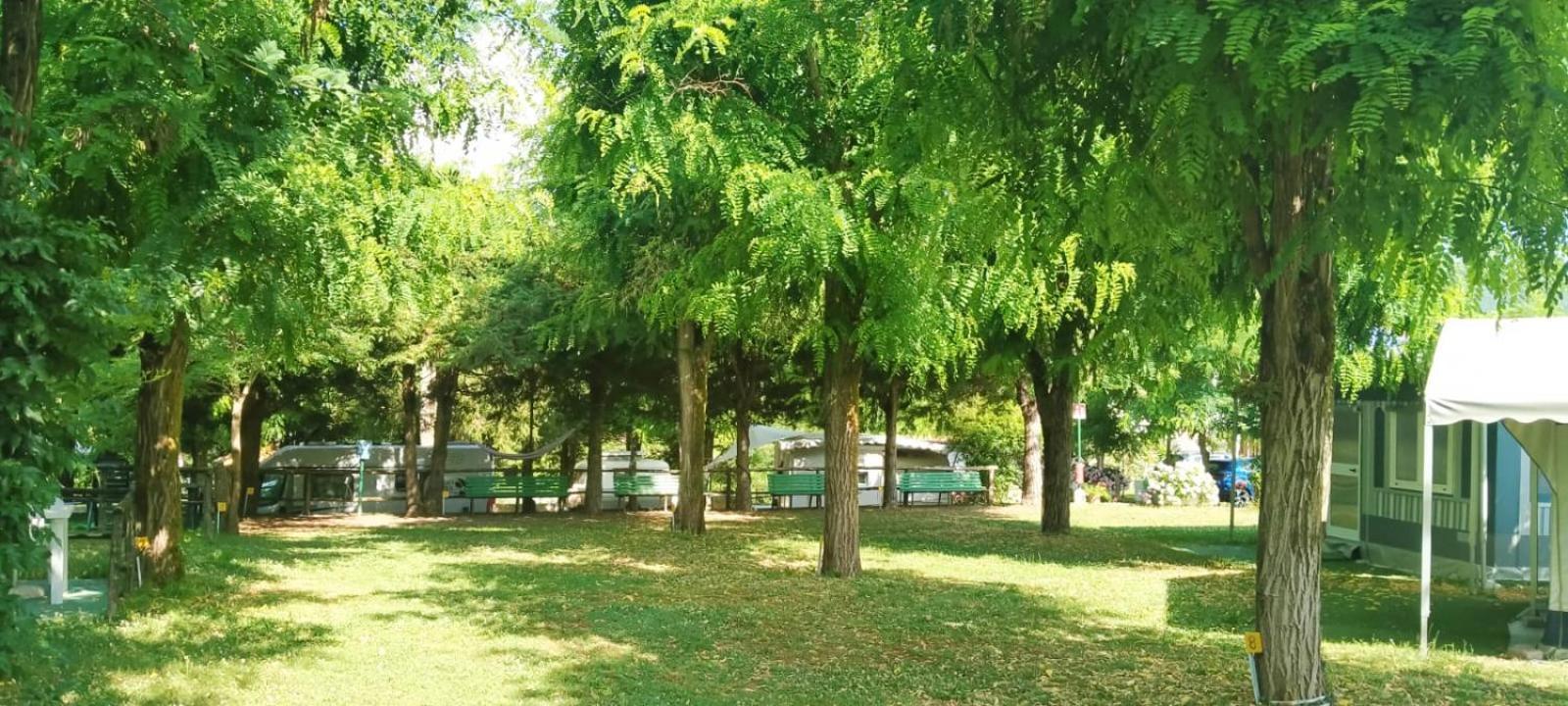 Parco Vacanze Bracchetto Vetta Hotel Carrodano Inferiore Exterior foto